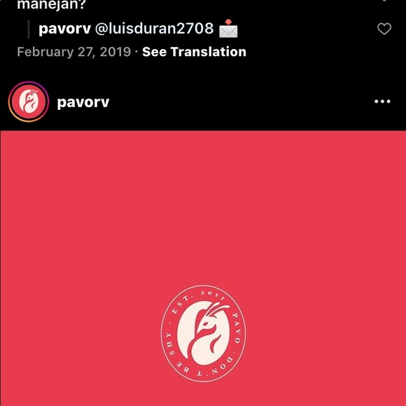 PAVO RETRO STYLE SHIRT - Picture 6 of 8